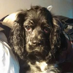 Meet your Posher, Dustin